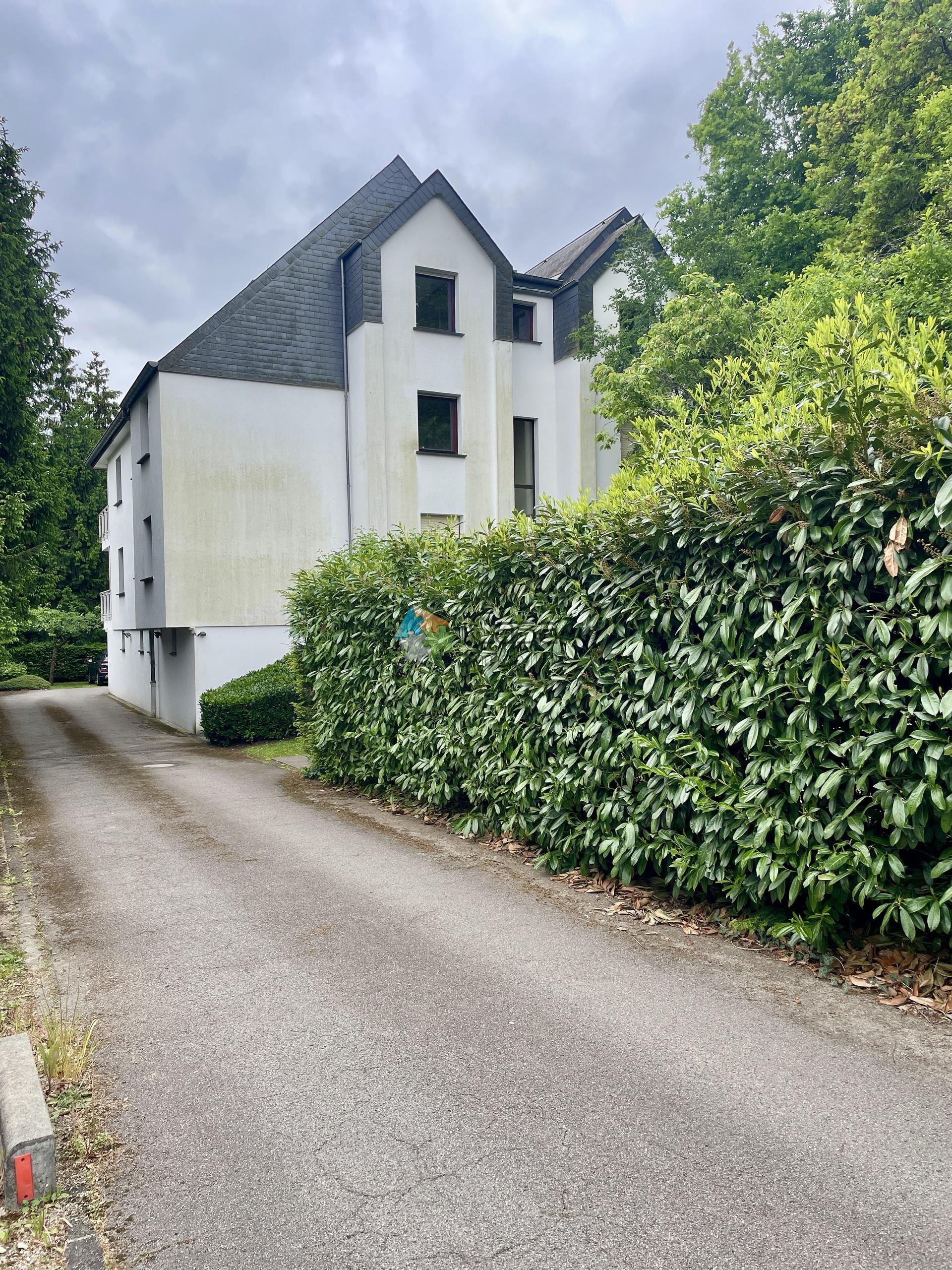 Image 13