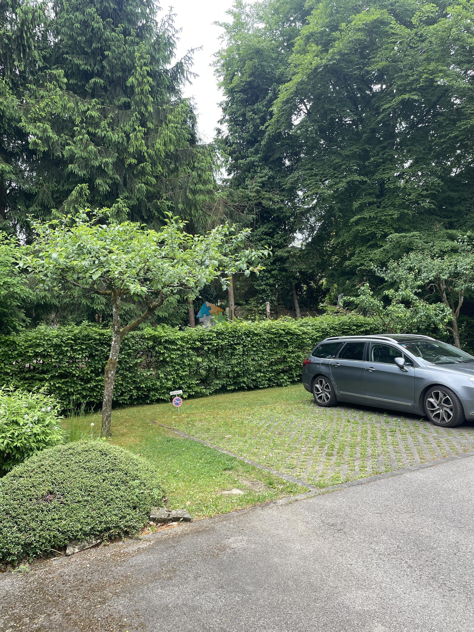 Image 15