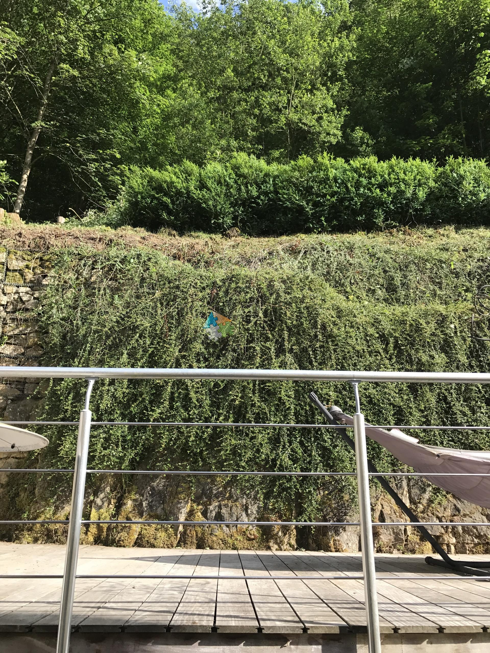 Image 13