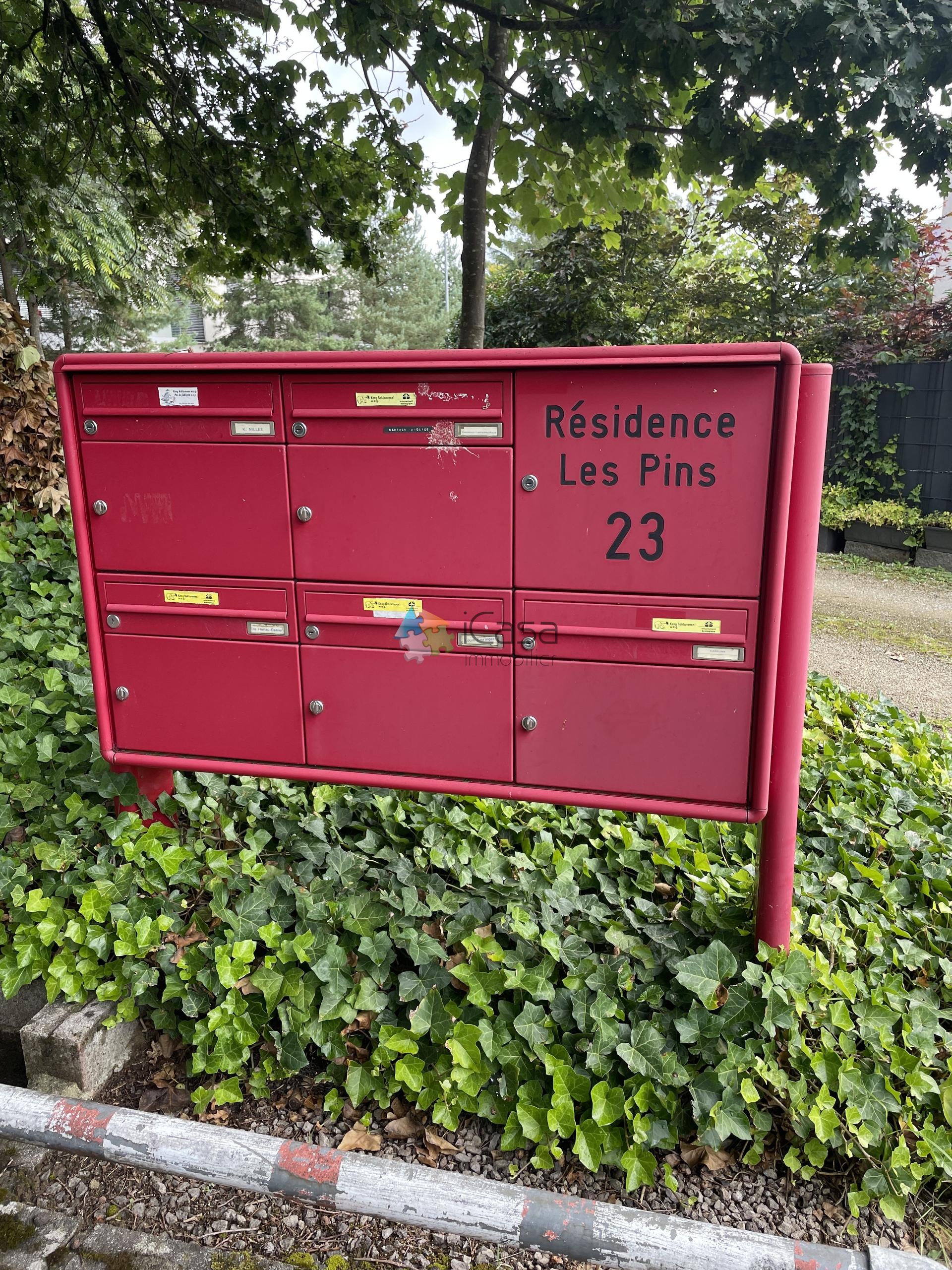 Image 19
