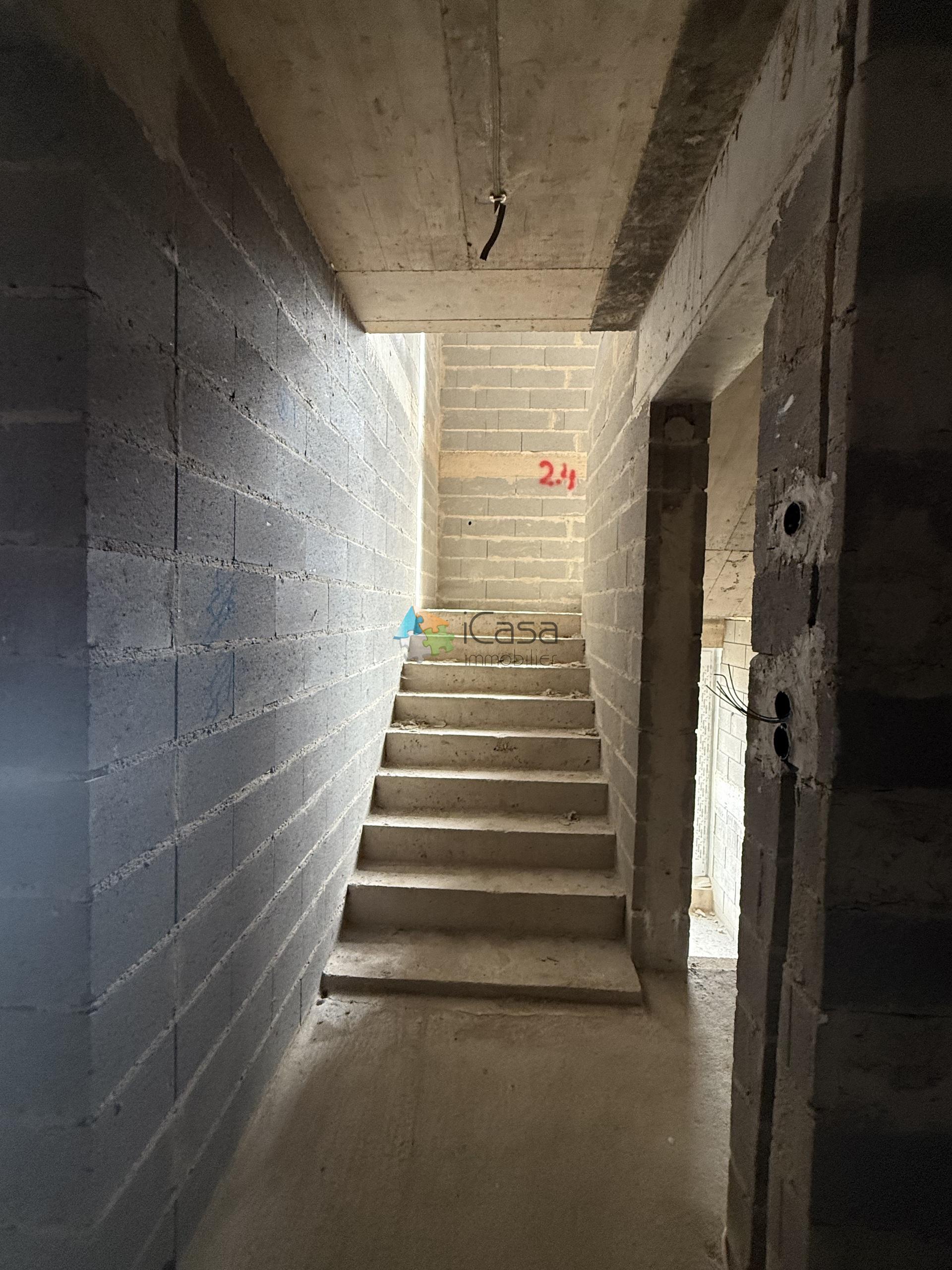 Image 13