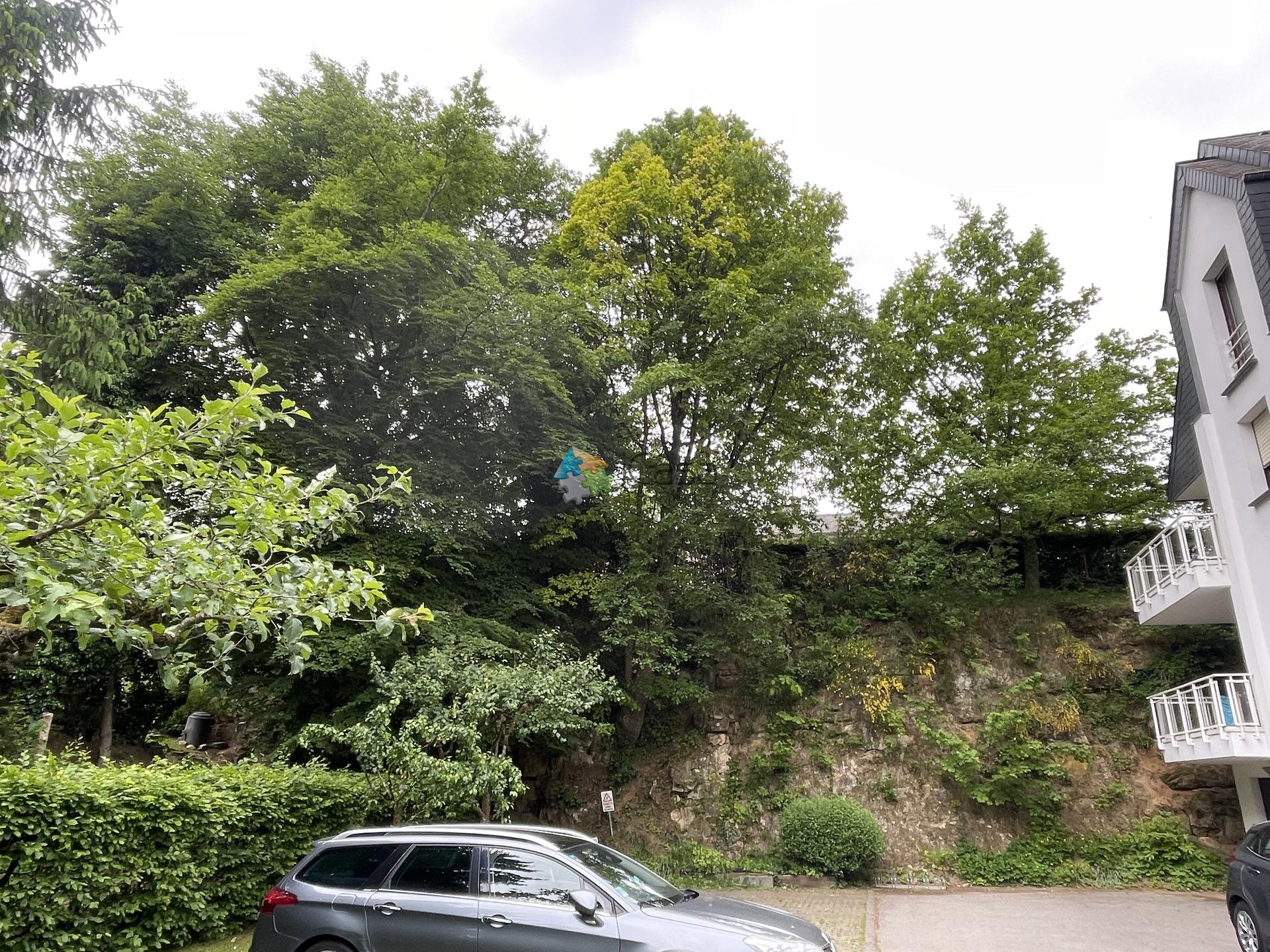 Image 20