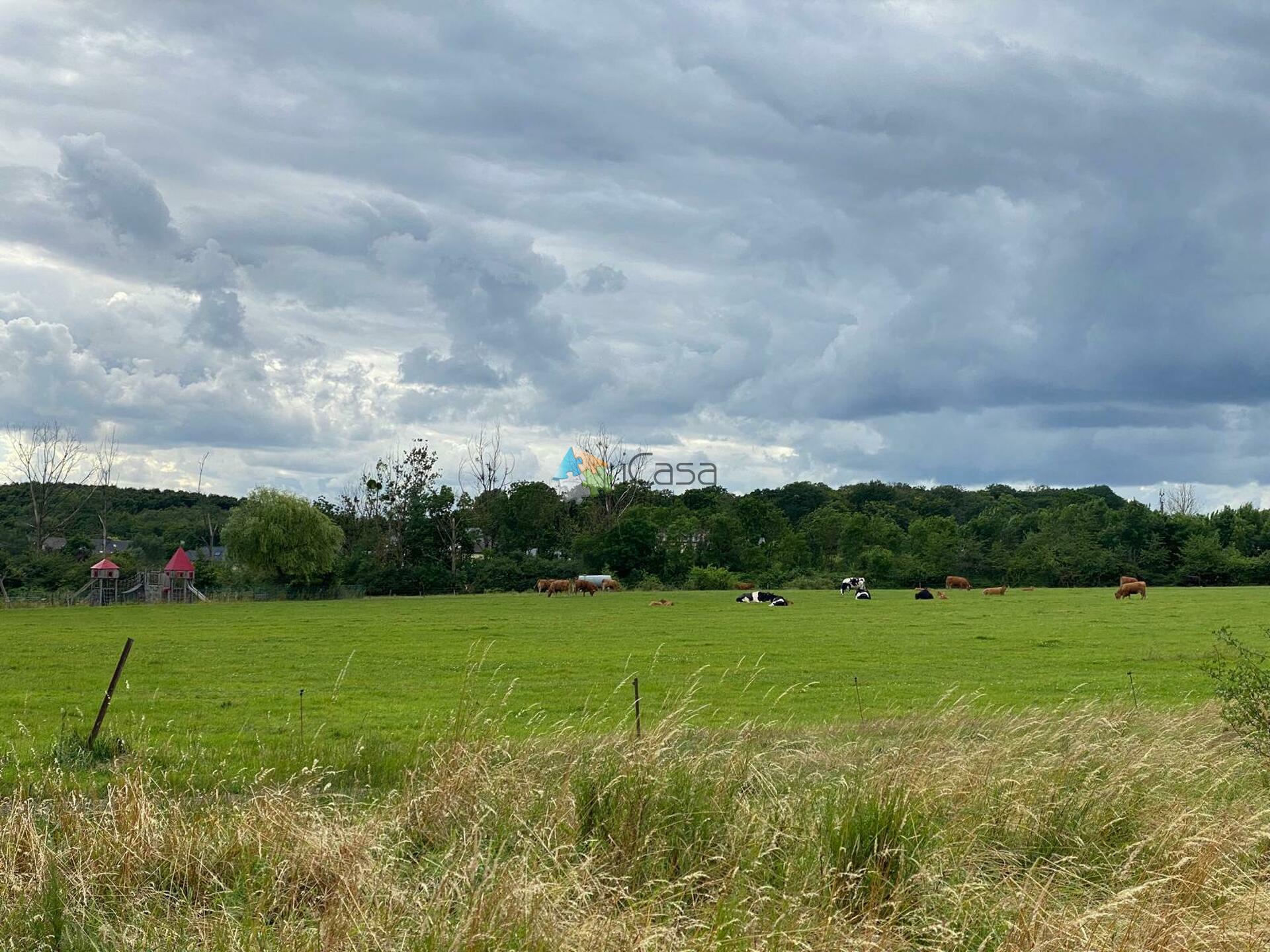 Image 13